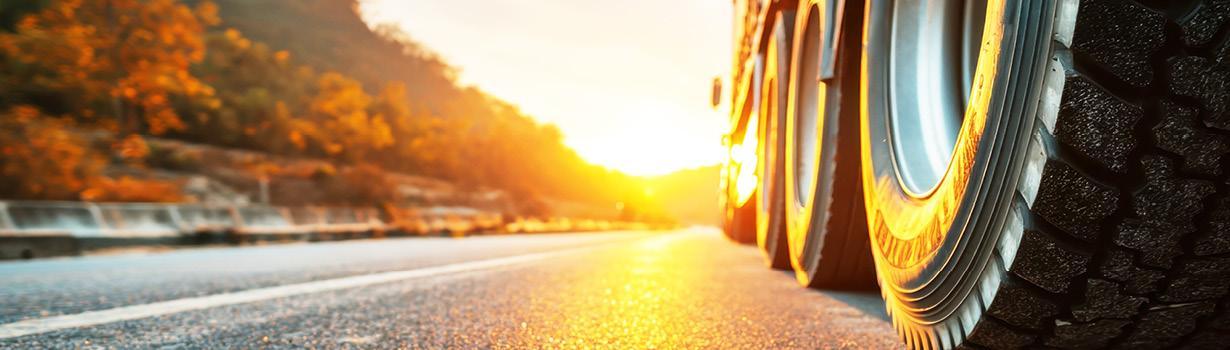 geofabrics-triaxial-geogrid-header image-1230X350px