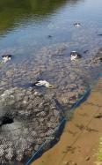 aquarockbag-river-derwent