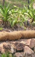 Biomac Waterlog Coir banner image