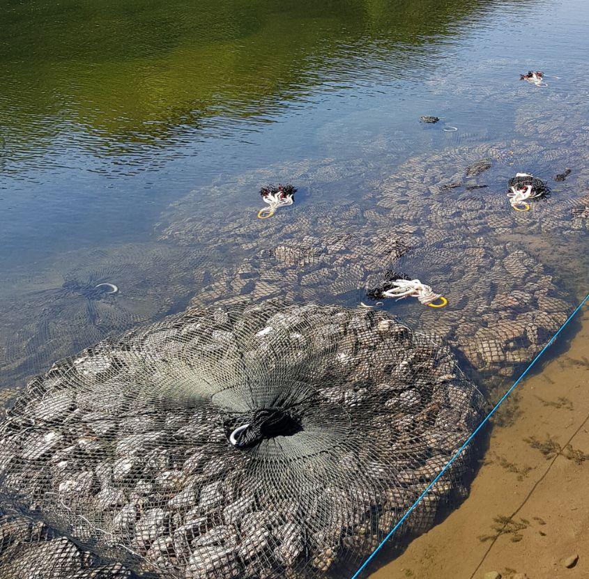 stabilising-river-banks-from-erosion-with-aquarockbag--845X831-img1