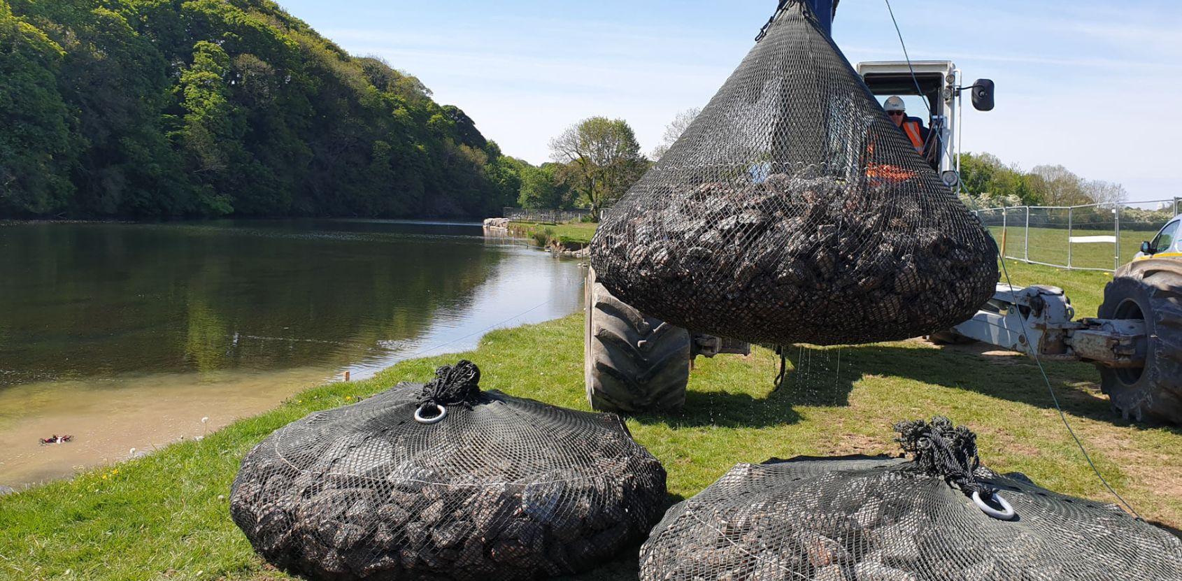 stabilising-river-banks-from-erosion-with-aquarockbag--case-study-1690X831