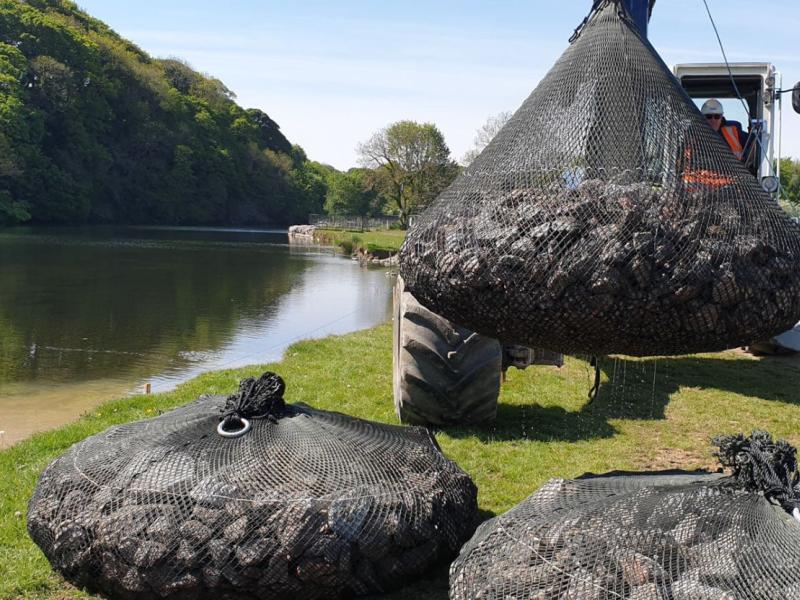 stabilising-river-banks-from-erosion-with-aquarockbag--case-study-1690X831